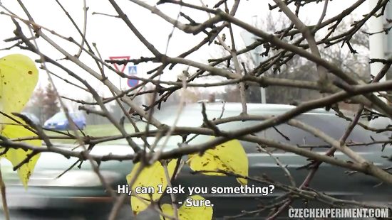 Чешка отсосала прохожему и отдалась в лесу