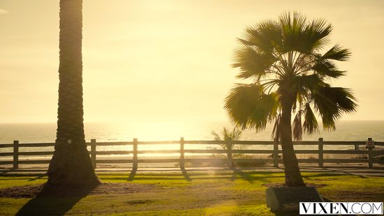 Жена изменила мужу с накаченным поваром