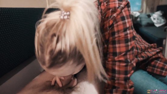 Незнакомка в купе не против убить время отсосом