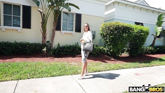 Бэнгбус для адвоката