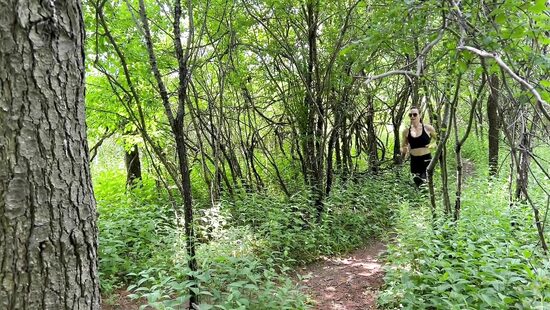 Потеряться между членов