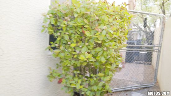 Увидел голую соседку в муке и трахнул узкоглазую домохозяйку