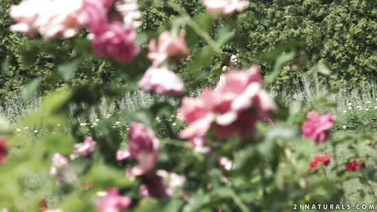 Пригласил подругу прогуляться по лесу и засадил ей в попку на природе