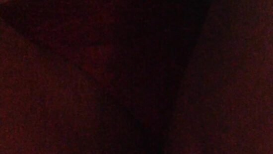 Домашнее развлечение вашей сучки