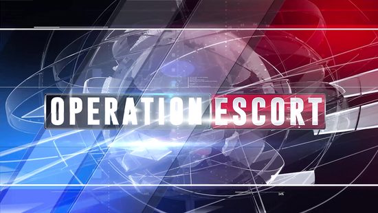 Девушка по вызову согласилась дать копу в обмен на свободу