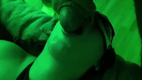 И снова она, моя бестия