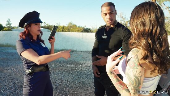 Придорожные киски