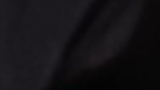 Встреча перед НГ