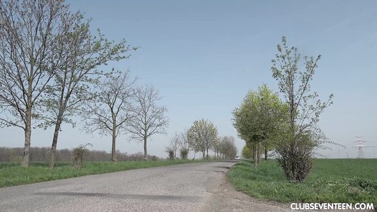 Попутчица согласилась рассчитаться за проезд сексом на природе