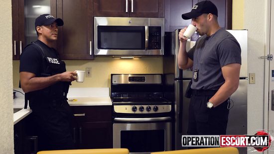 Американский полицейский после задержания трахнул грудастую проститутку