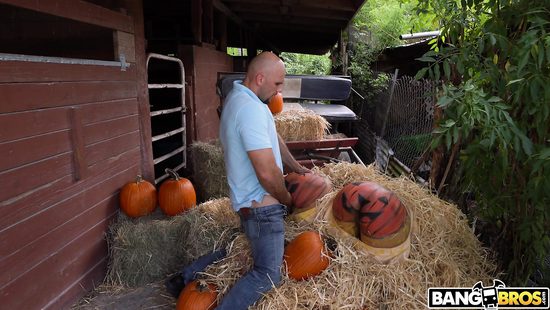 На Хэллоуин озорные брюнетки разрисовали попки в тыквы и совратили мужика