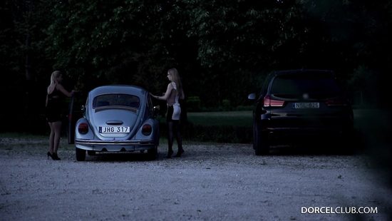 Пригласили начальство на деловой ужин и устроили анальную оргию