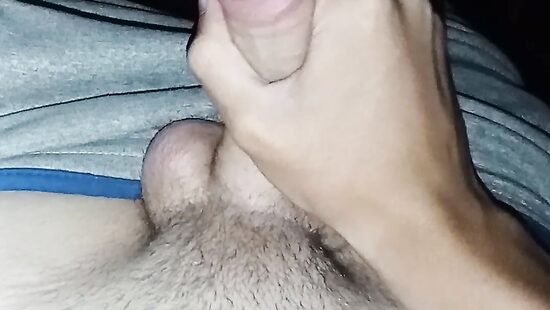 Мой любимый член