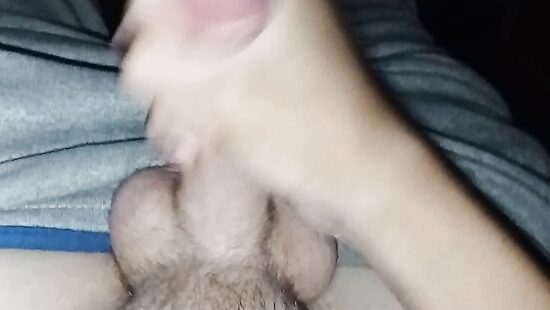 Мой любимый член