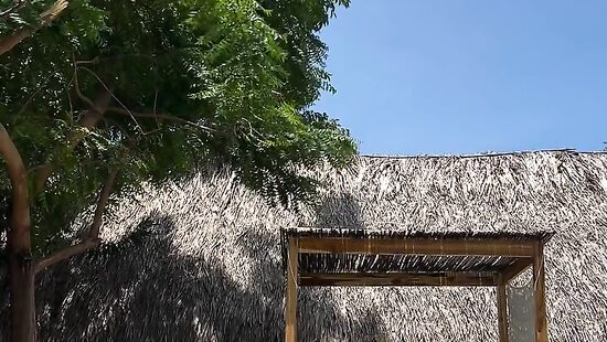 En mi mood, mojadita