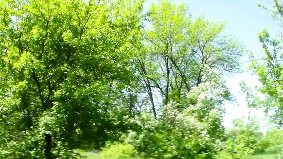 отдых на природе