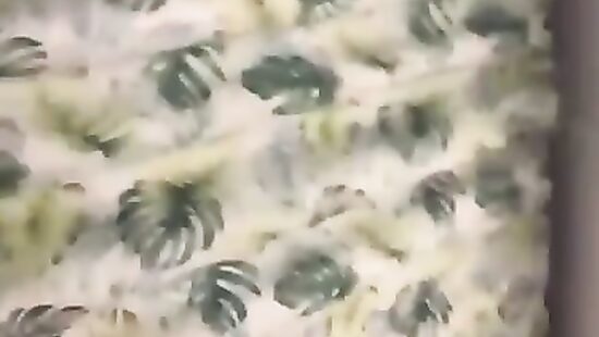 Секс с развратной сучкой