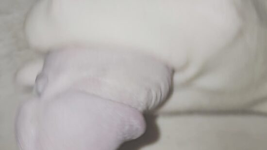 Прекрасное утро 