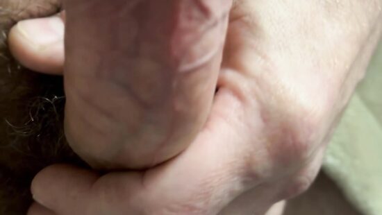 Член на чиле