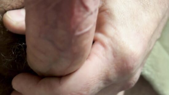 Член на чиле