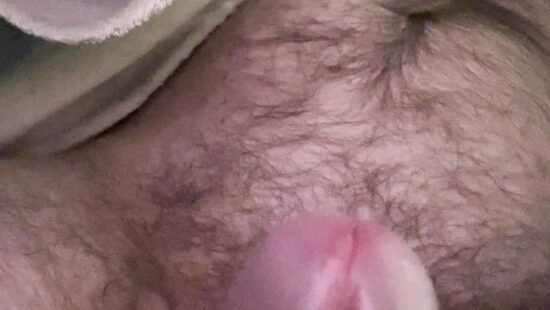 Член на чиле 