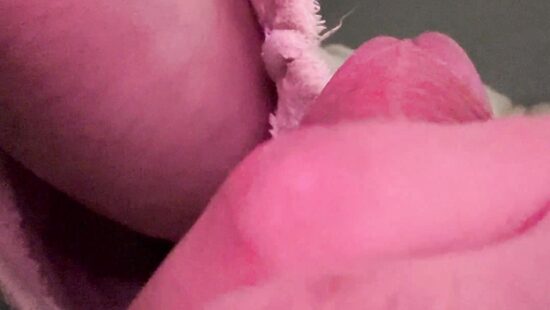 Член на чиле 