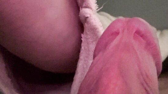 Член на чиле 