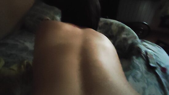 Кису в догги