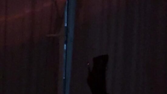 сладких снов