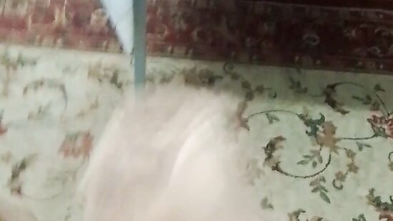 кто хочет пошалить со мной?))