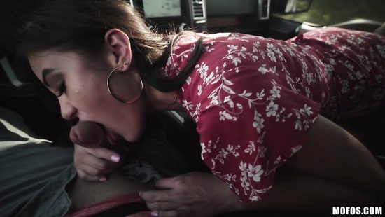 Азиатская автостопщица соблазнила пошлого водителя и дала в сочную письку